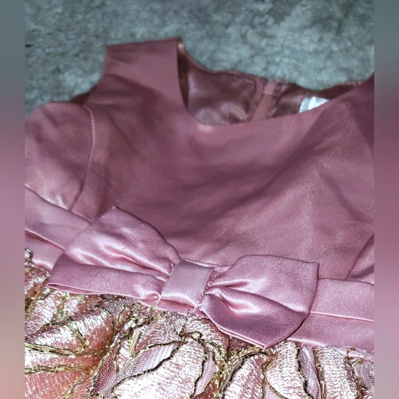 Biscotti Toddler Dress Pink - Picture 3 of 5